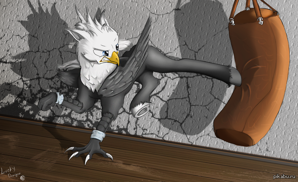 Тренировка