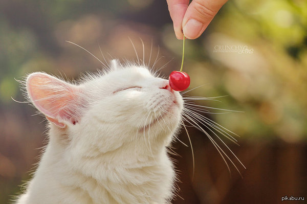 Мммм вишенка