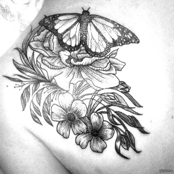 ������ ����������.