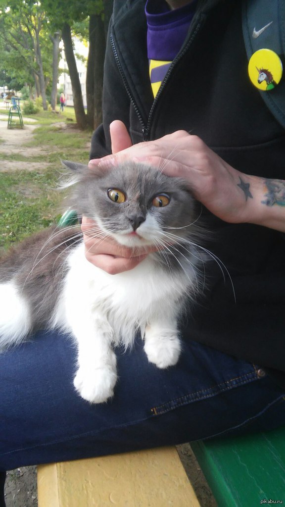 ����� ������ ����� ��������� �����