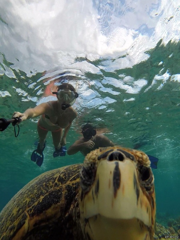 ��� ��� ���� ������ ����� !!!