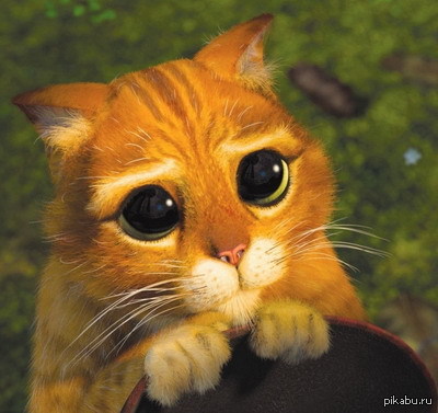 ��������� � ��� ���� ��������, ����������.