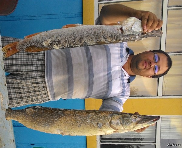 ������� ��������� � ��������