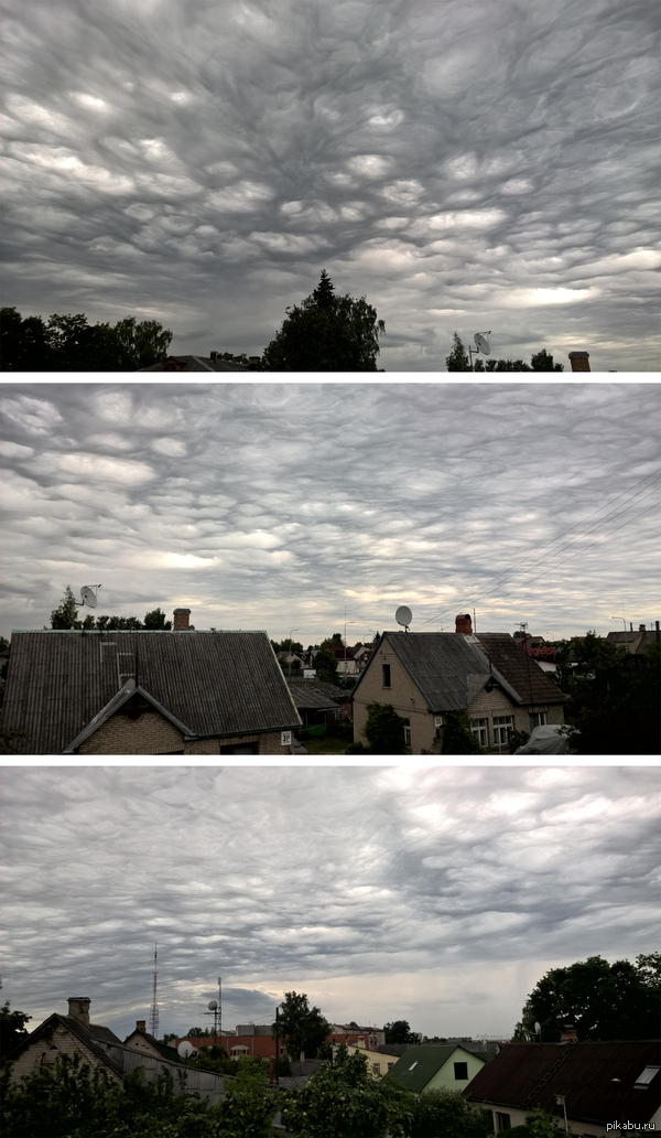 ������� ���� ����� �����