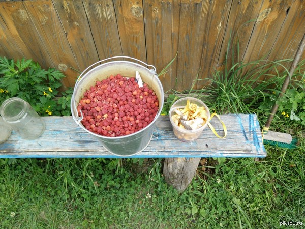 ����� � ��� �� �������...