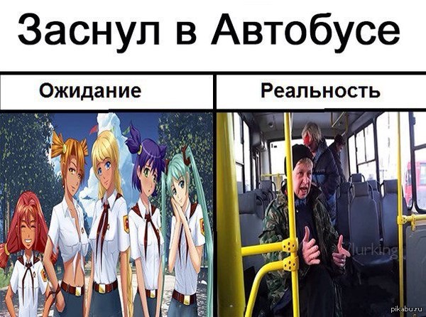 Когда уснул в автобусе