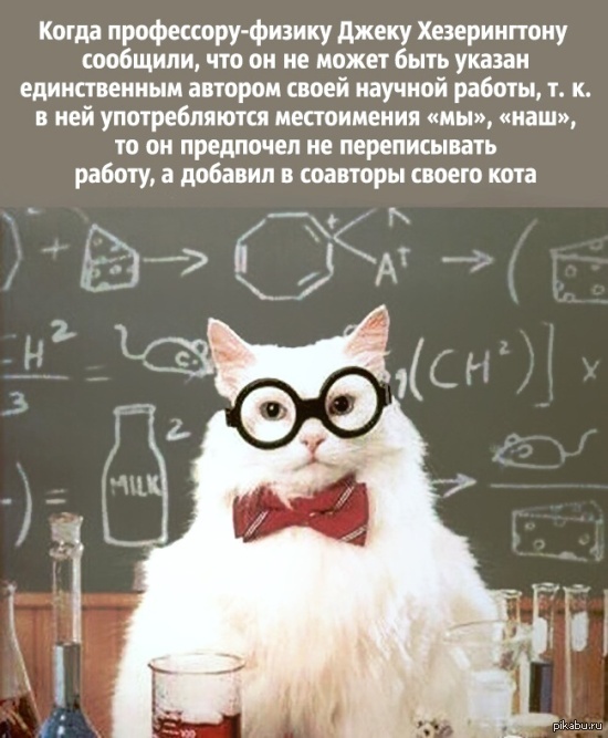 Кот ученый | Пикабу