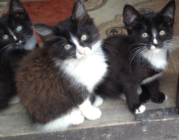 ����� ����� � ������� ����!   ������� �������� �����.