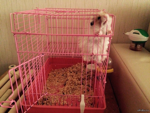 ������� �������������