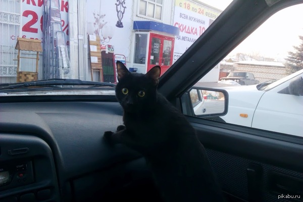 �� ������ �� �����