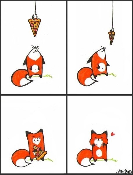 для счастья лисам нужно не так уж и много)