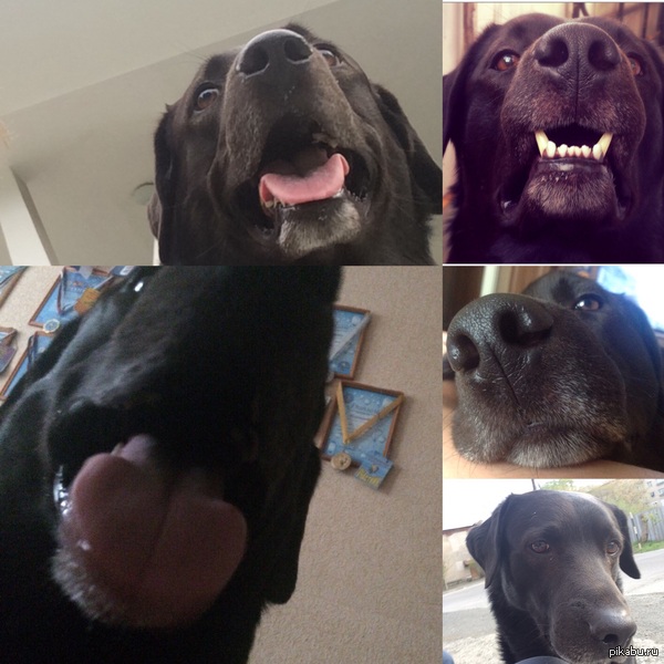 ��� �� ����� �����������...