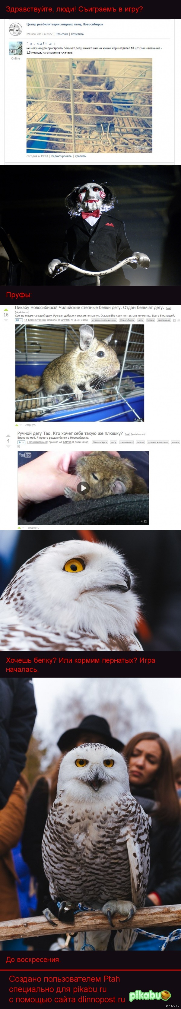 � ����� ��� ���� �����?