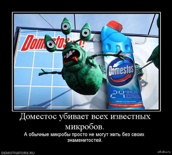 ������ ��������