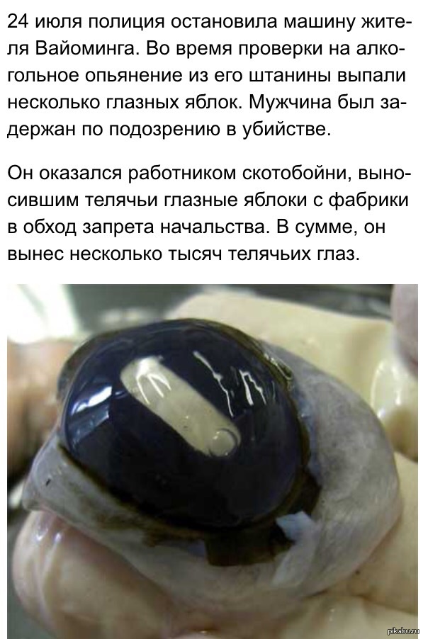 ������ ��������� �������� � 30 �������� �������� � �������� ���������