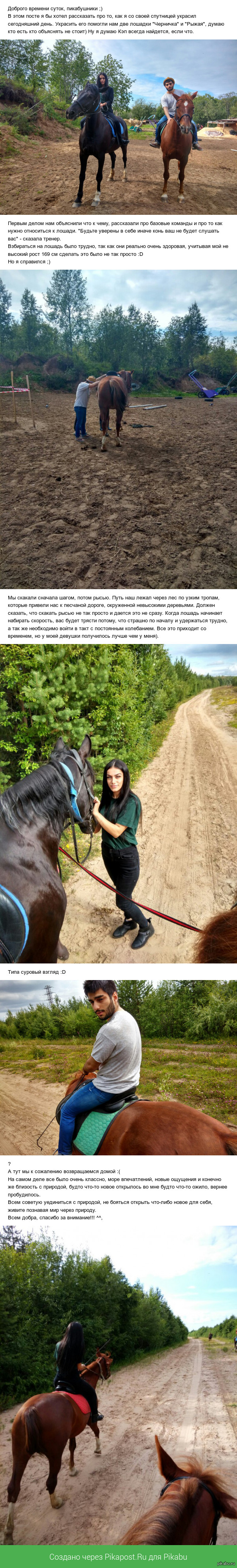 День на коне