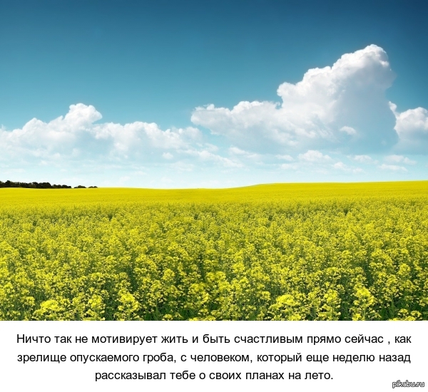 Мотивация. | Пикабу