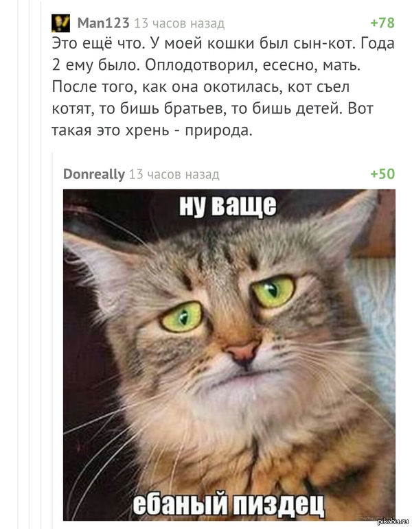 ������ ������� � � ...