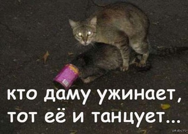 Кого бы пригласить на танец...