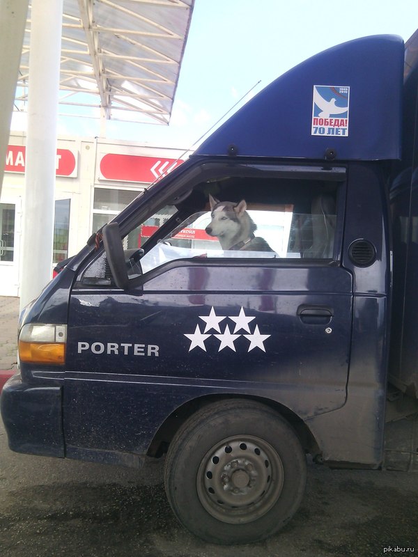 Как-то утром на заправке был замечен необычный водитель))