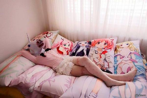 ���� ���������