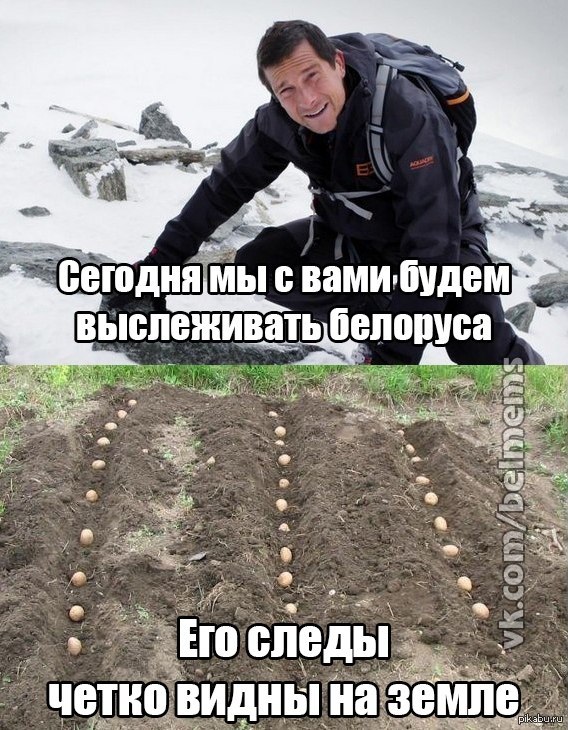 Смешные картинки про белорусов