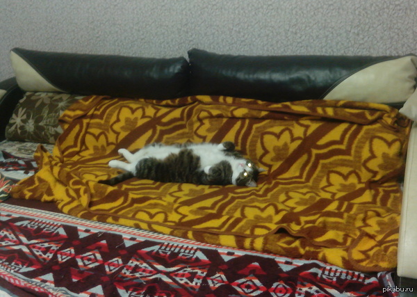 ��������� � ���������� � ��� ��� �� �������...