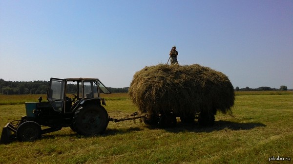 Хорошо в деревне летом!