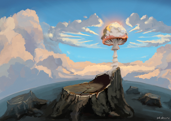 ���� ��������