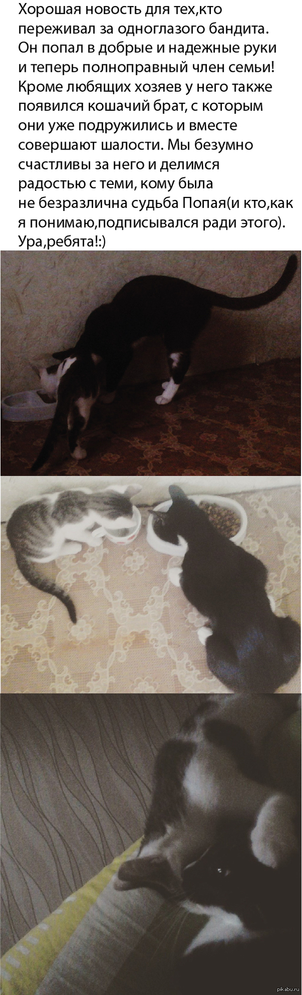 Новость для 11 подписчиков от Попая