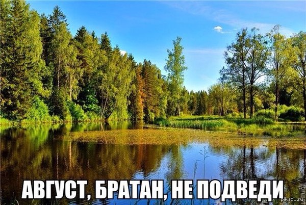 Мы верим в тебя