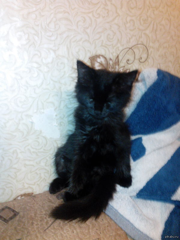 �������� ����;)