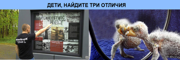 Три отличия...