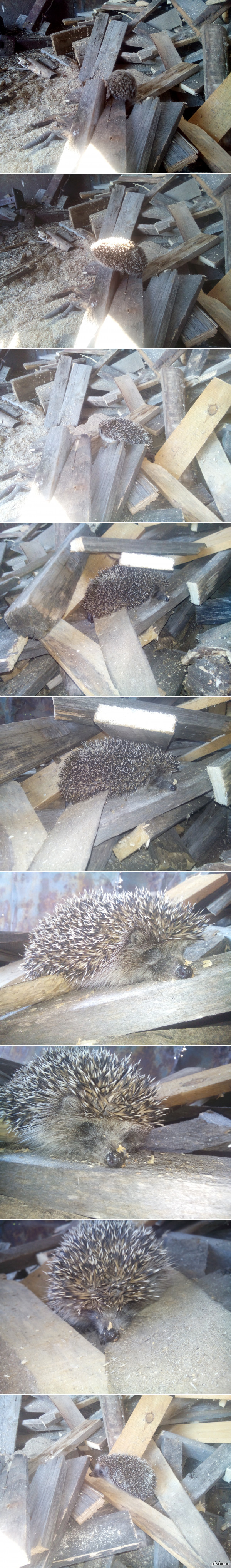 ��������� �����.