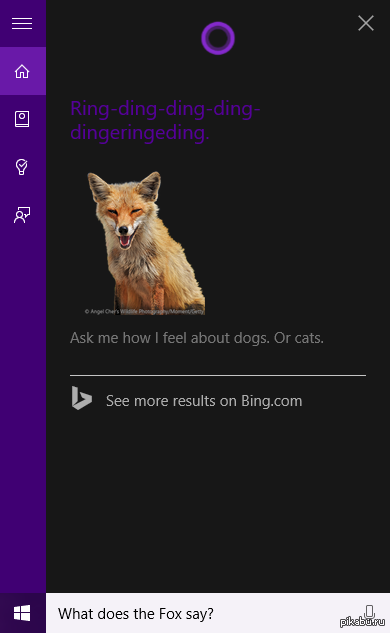 Cortana: What does the Fox Say? ,    ,   xD