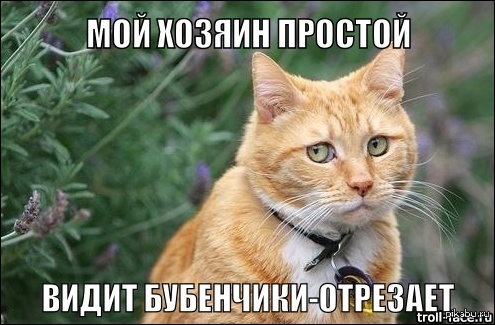  )    <a href="http://pikabu.ru/story/ya_pes_prostoy_3543155">http://pikabu.ru/story/_3543155</a>   ,    