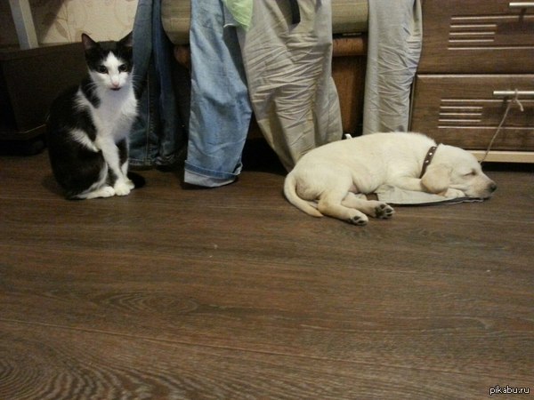 ����� ����.. ������ �����, ��� ���� � ���� �� ����� �������������)