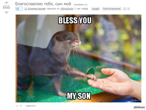 Вот что значит, когда количество плюсов подходит к заголовку.