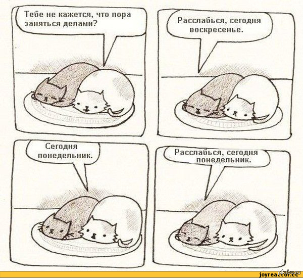 Воскресенье картинки прикольные. Почему сегодня воскресение. Открытки с воскресеньем прикольные. Воскресенье приколы. Шутки про воскресенье.