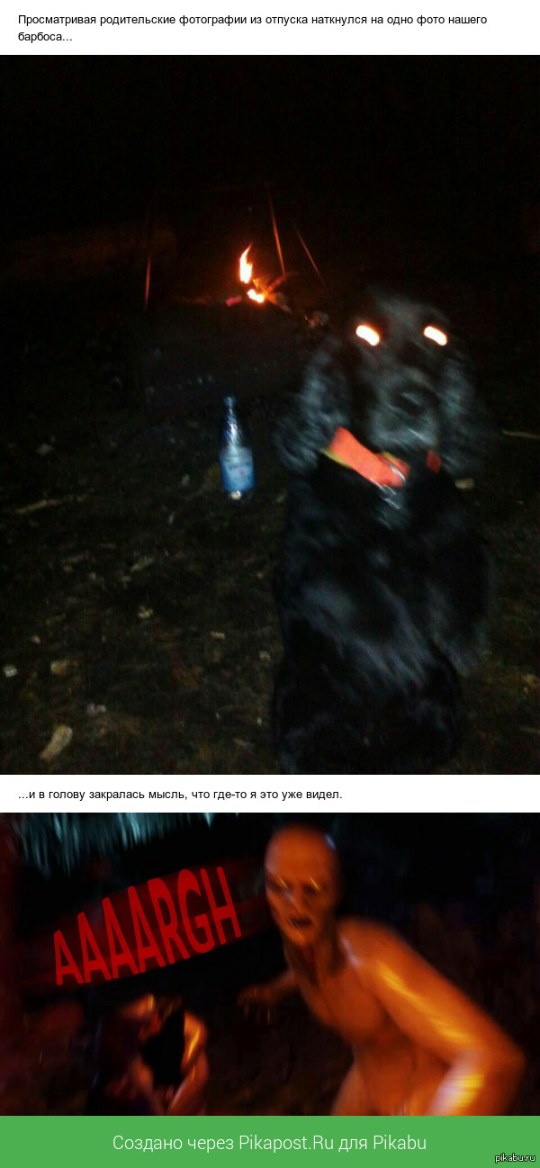 Собака-напугака