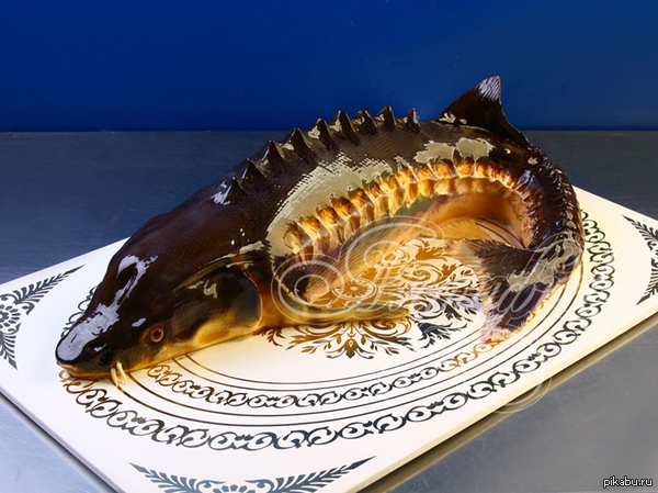 ���� ���� �����