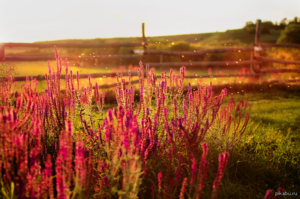 ����������� �����)