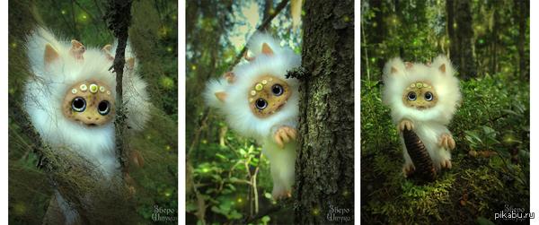 Юншу из северного леса...