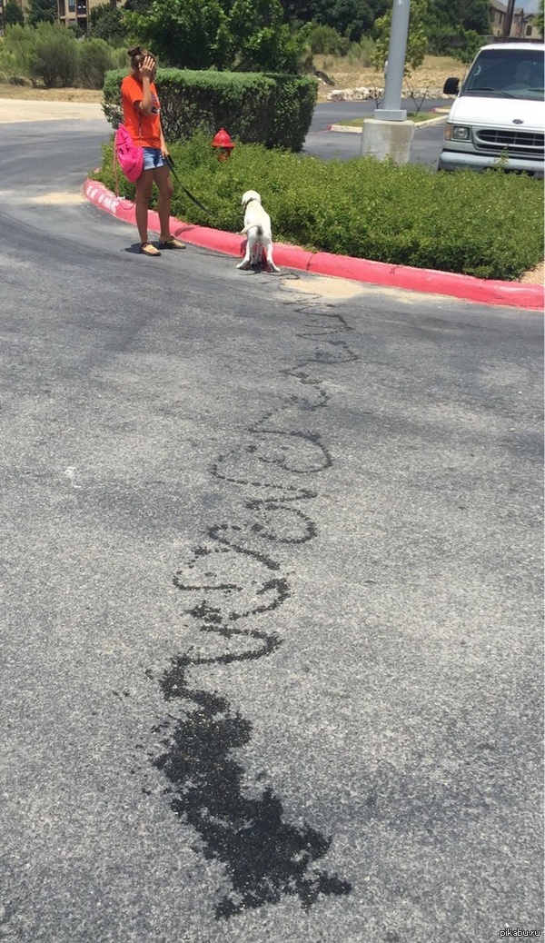 ����� ���������