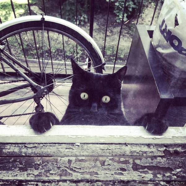 � �� ������!