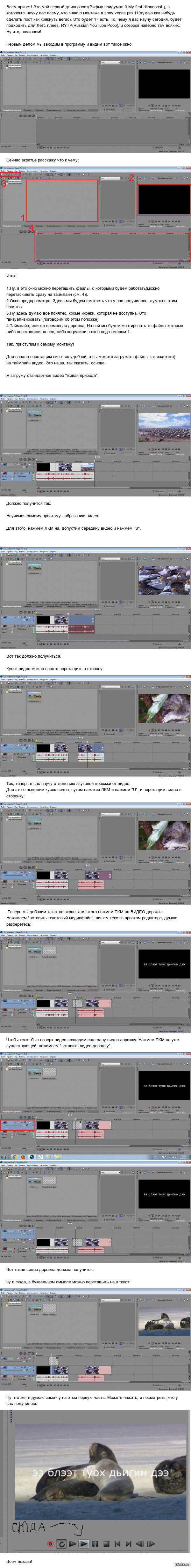 ���� �� Sony Vegas Pro 11. #1