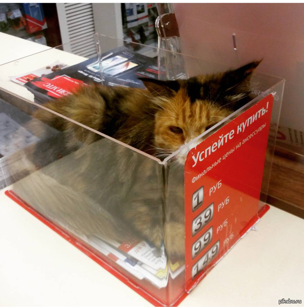 Выгодное предложение