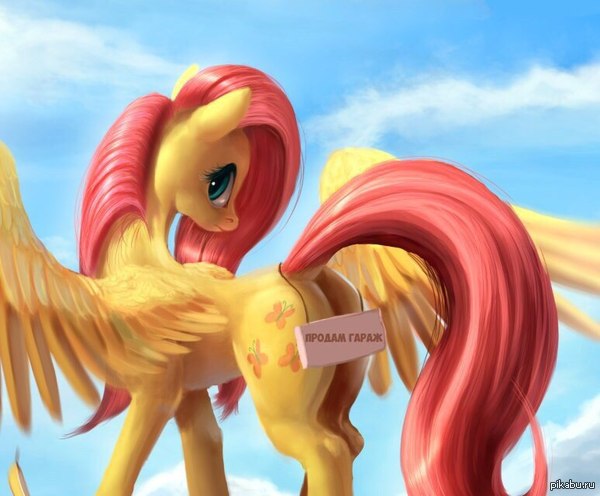 I'm not a chopper, but... - In contact with, NSFW, Fluttershy, Selling garage, Bedbugs, My little pony