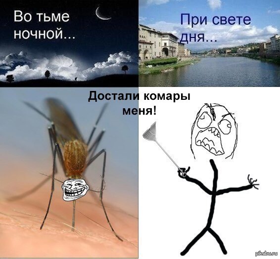 Комары | Пикабу