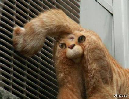 ������� ���� ������